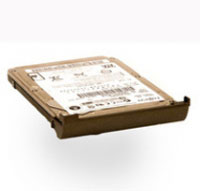 Micro storage Primary 160GB 5400RPM (IB320001I834) Micro storage Primary 160GB 5400RPM (IB320001I834)